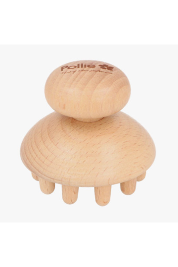 Champignon Réducteur Maderothérapie