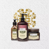 Coffret Ricin Shampooing + Masque + Sérum Arganicare