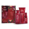 Rituel Ultimate Repair WELLA PROFESSIONALS Coffret