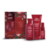 Rituel Ultimate Repair WELLA PROFESSIONALS Coffret