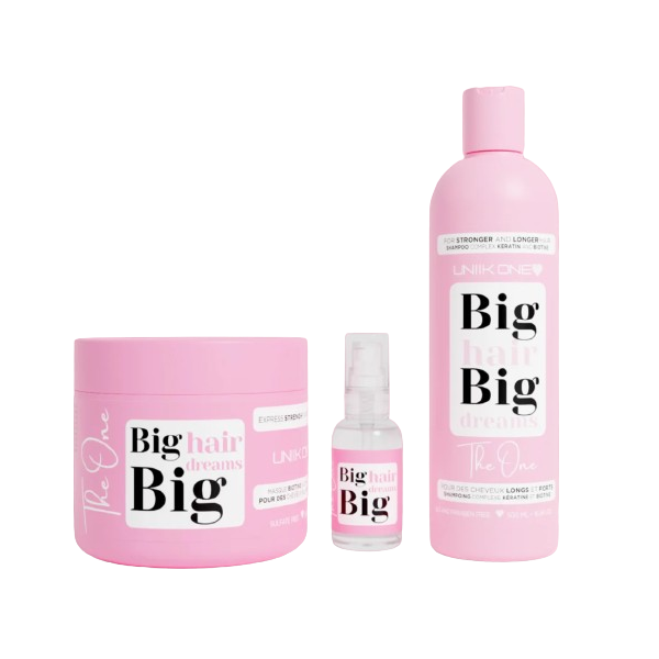 BIG HAIR BIG DREAMS The One Kit complet 500ml