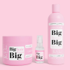 BIG HAIR BIG DREAMS The One Kit complet 500ml