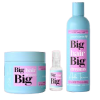 BIG HAIR BIG DREAMS Gamme Amla Tanin - Kit complet