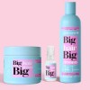 BIG HAIR BIG DREAMS Gamme Amla Tanin - Kit complet