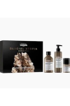 Coffret Routine réparatrice Absolut Repair Molecular L'Oréal Professional